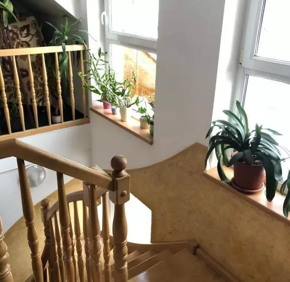 ペンション Penzion Natty   S Wellness Přímo U Sjezdovky