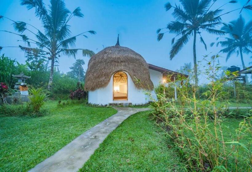 膳宿费 Ritual Ubud