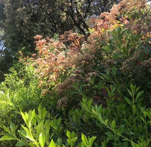 Bed and Breakfast Villa De Garrigue