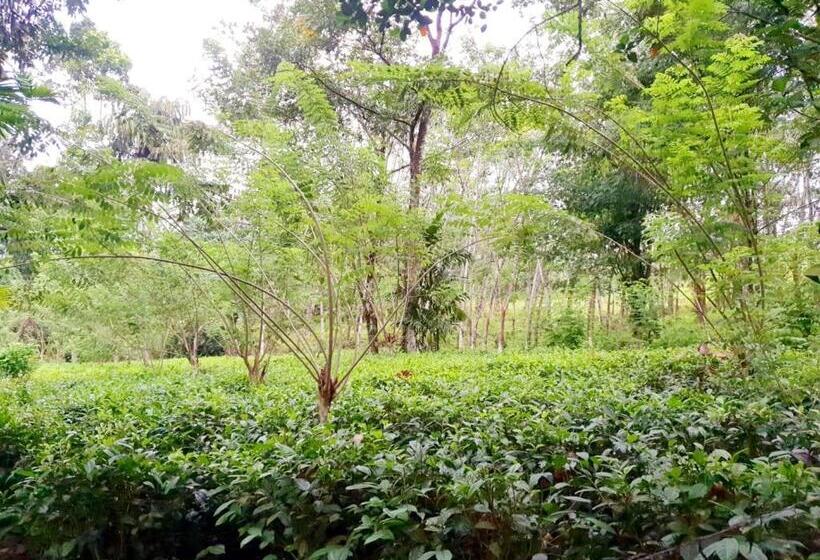 فندق Jayandra Holiday Bungalow