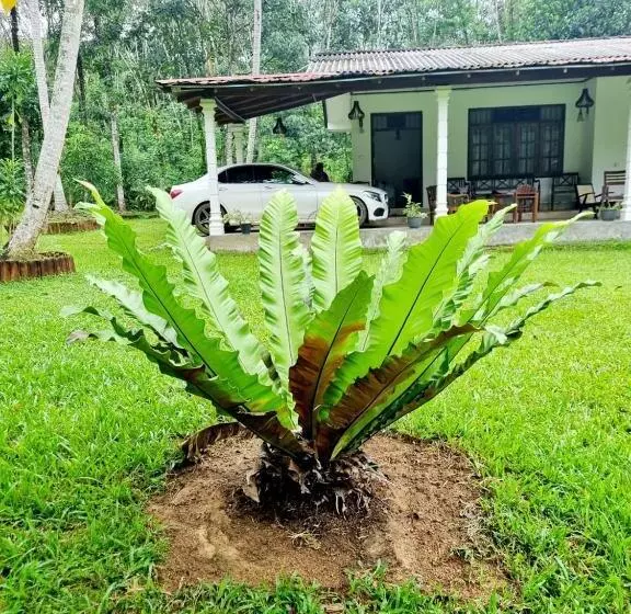 ホテル Jayandra Holiday Bungalow