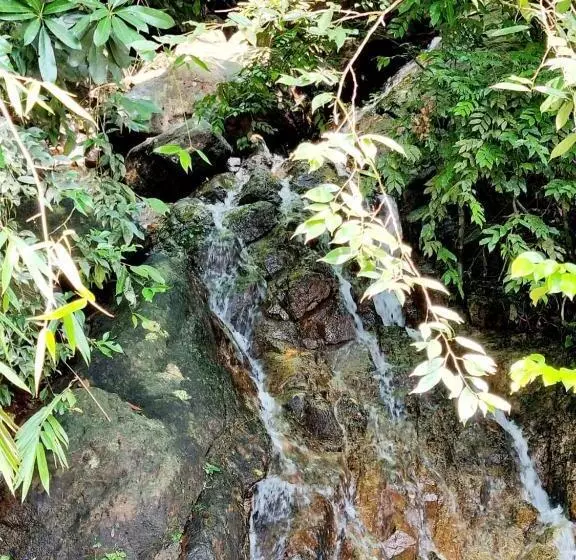 ホテル Jayandra Holiday Bungalow