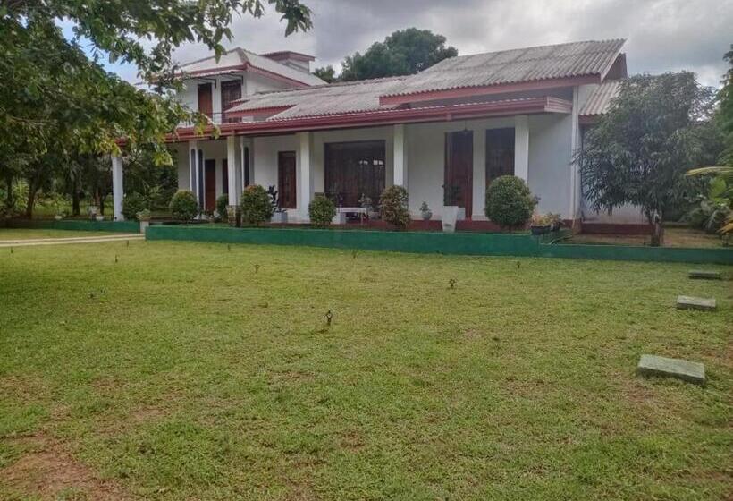 ホテル Kumbuk Sewana Villa