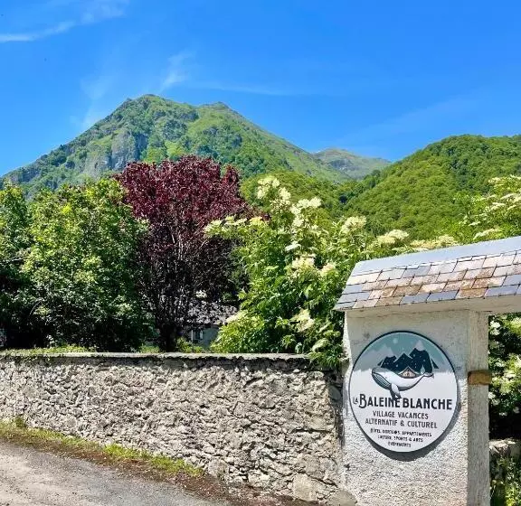 La Baleine Blanche   Hostel