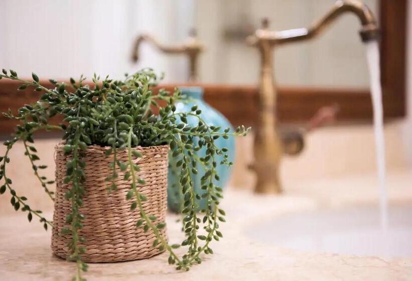 פנסיון Alassio Vayadu  Arabesque