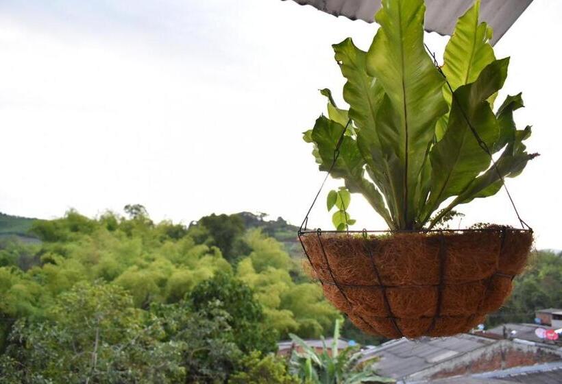 פנסיון Hostal Arbol Cafe Caicedonia