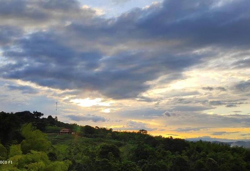 פנסיון Hostal Arbol Cafe Caicedonia