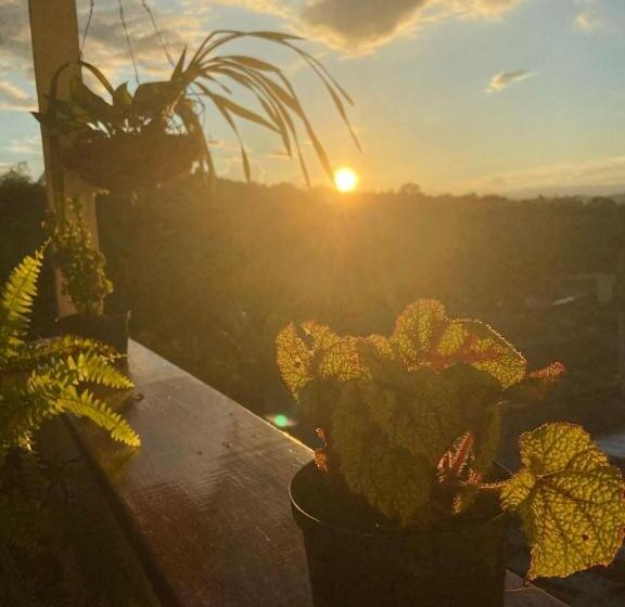 פנסיון Hostal Arbol Cafe Caicedonia