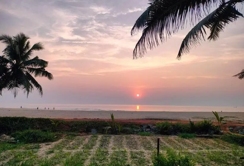 Revibe Beach Hostel Gokarna