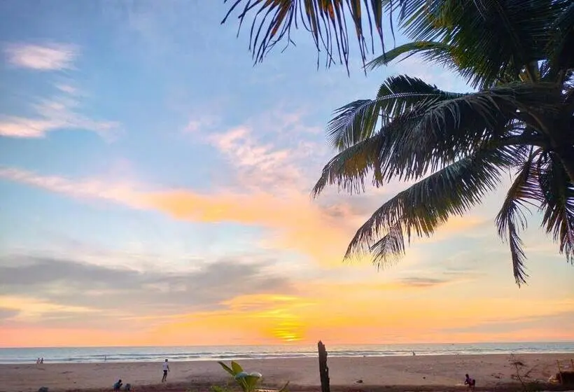 Revibe Beach Hostel Gokarna