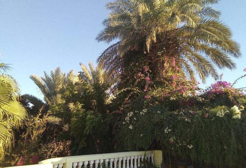 33 0asis Riad Resort