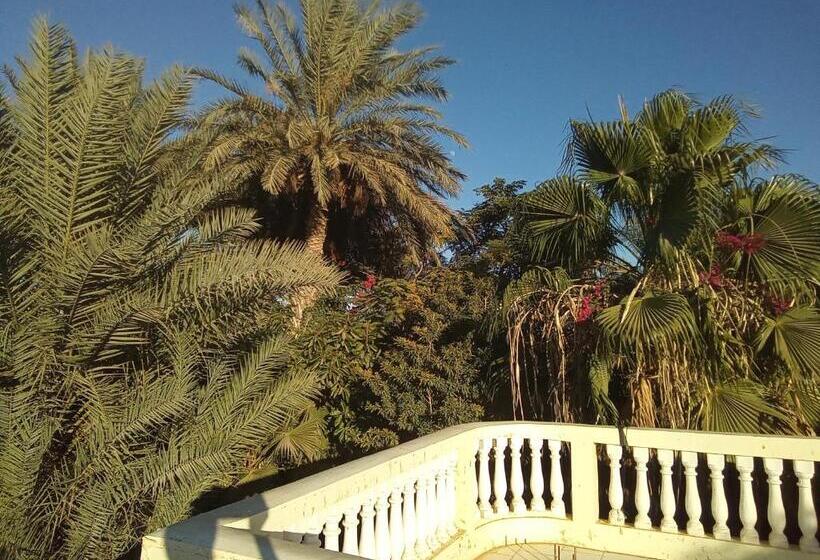 33 0asis Riad Resort