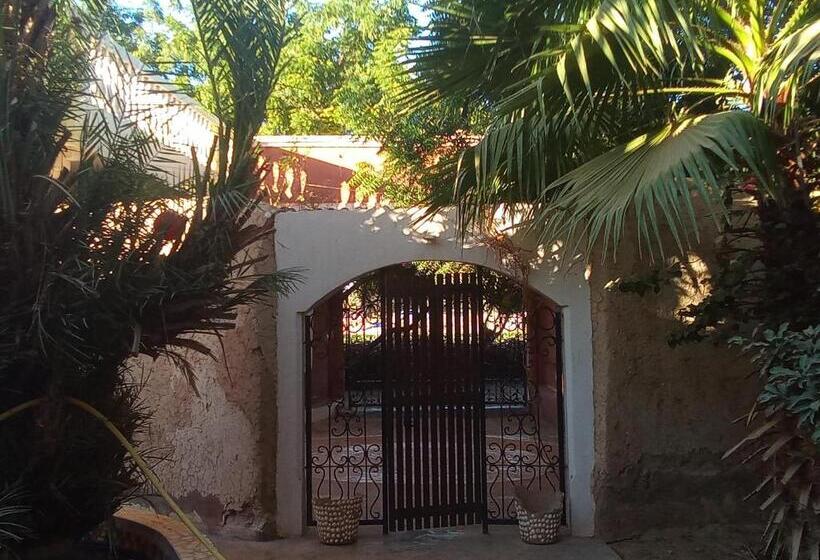 33 0asis Riad Resort