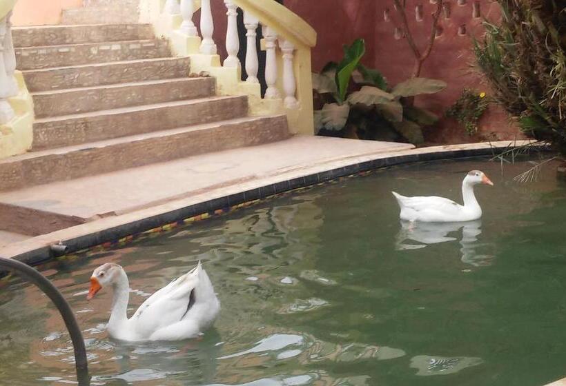 33 0asis Riad Resort