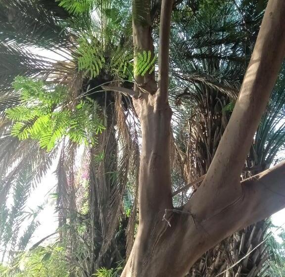 33 0asis Riad Resort