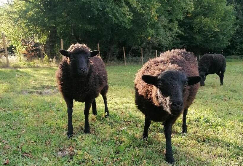 مبيت وإفطار La Libellule