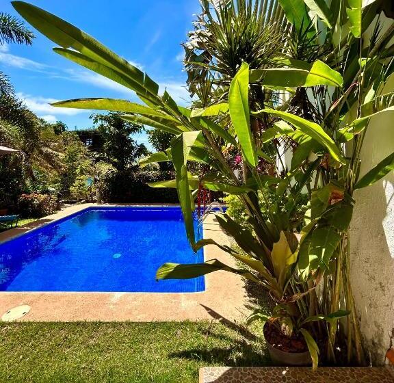 Отель Bungalows Buenavista