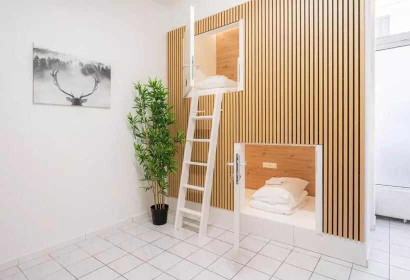 هتل کپسول Robin Wood Apartment