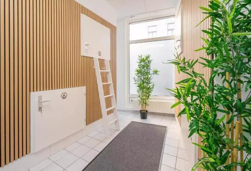 هتل کپسول Robin Wood Apartment