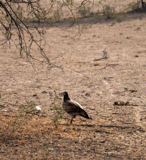 호텔 Desert Trails Khuri