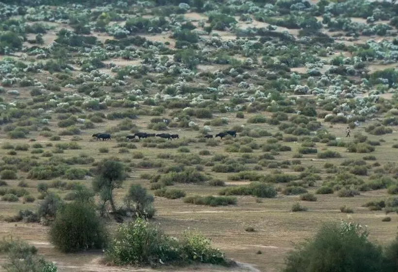 Hotelli Desert Trails Khuri