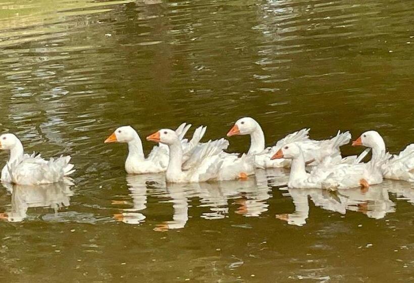 فندق Ol’ Mel’s Farm