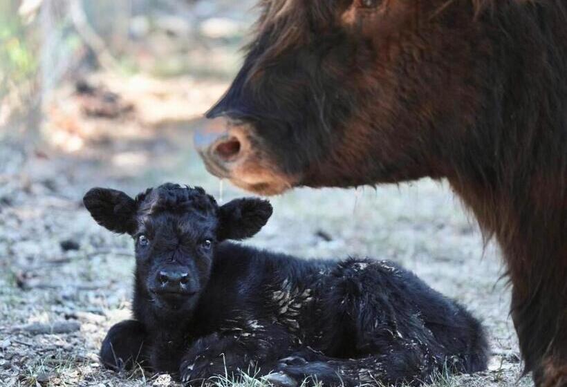 فندق Ol’ Mel’s Farm