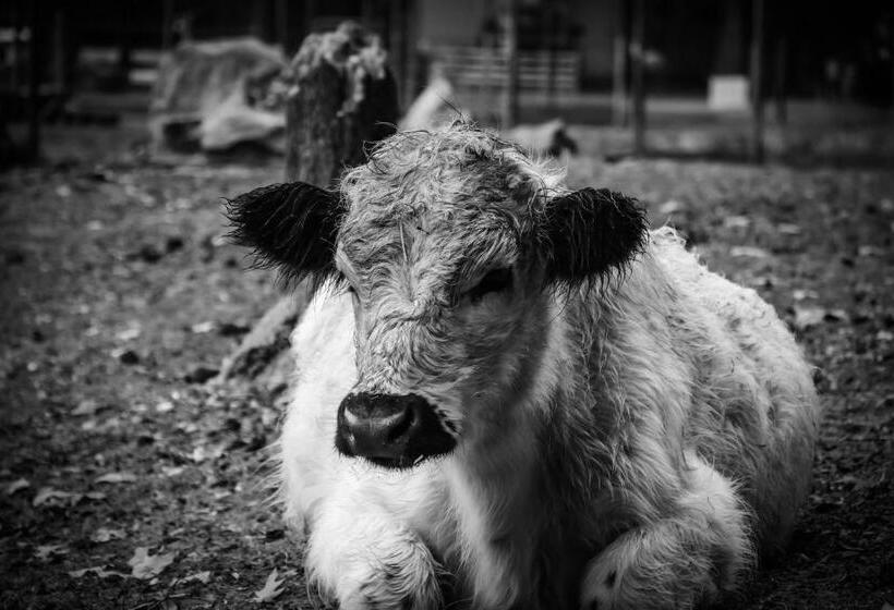 فندق Ol’ Mel’s Farm