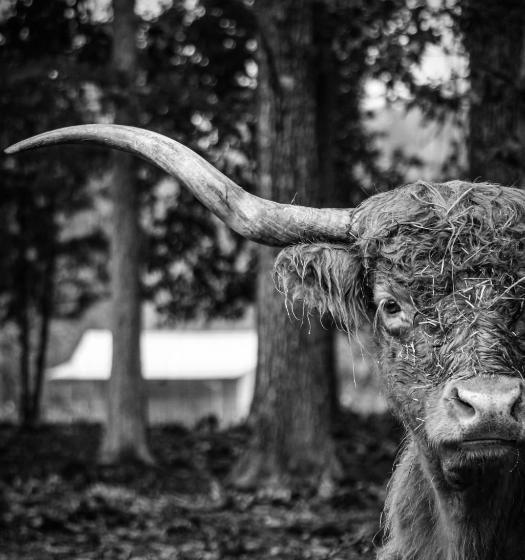 فندق Ol’ Mel’s Farm