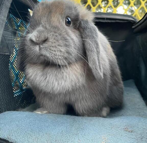 فندق Ol’ Mel’s Farm