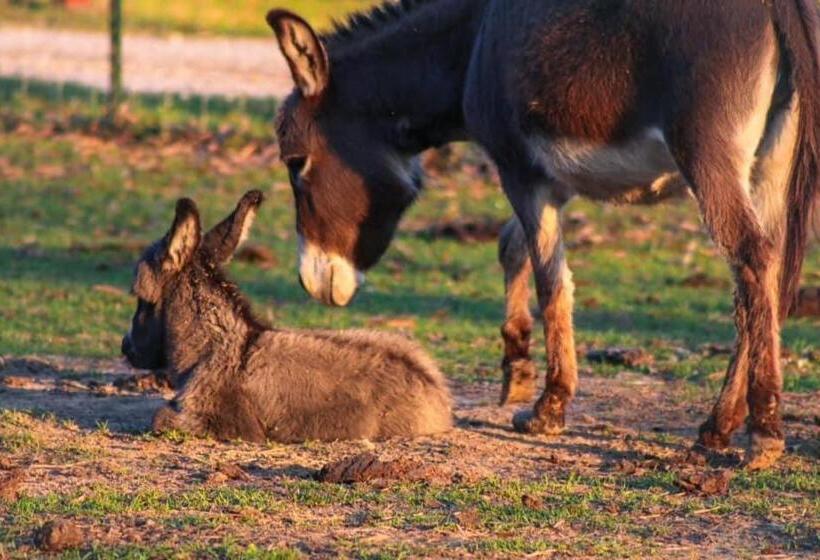 فندق Ol’ Mel’s Farm