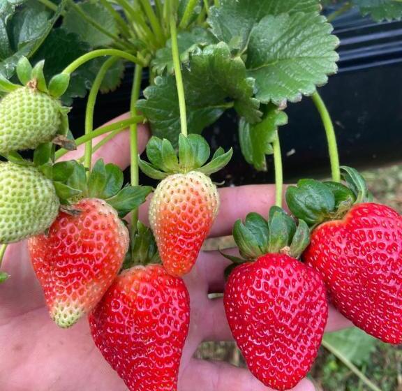 Hotel Pousada Do Caneca