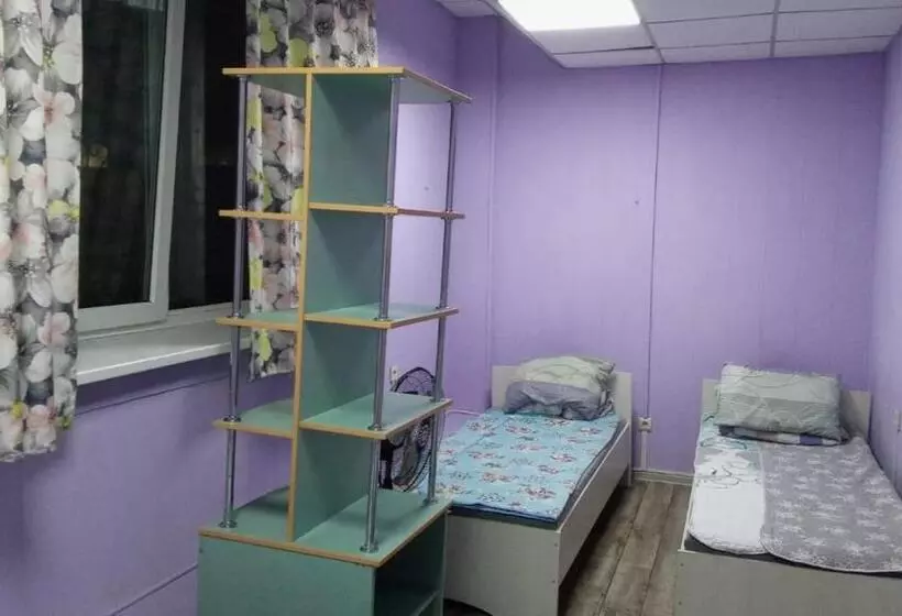 Lion Hostel