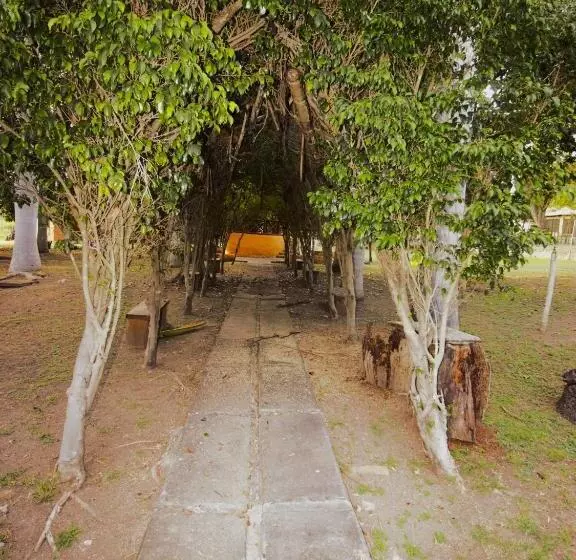 Hotelli Nudista Familiar   Luz De Luna Nude Resort