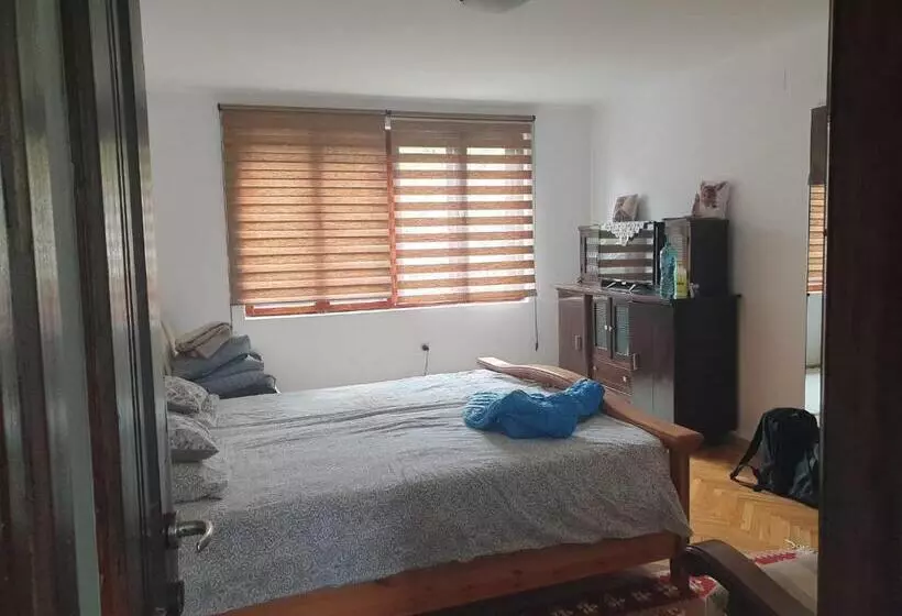 ペンション Casa Cu Terasa De Vis