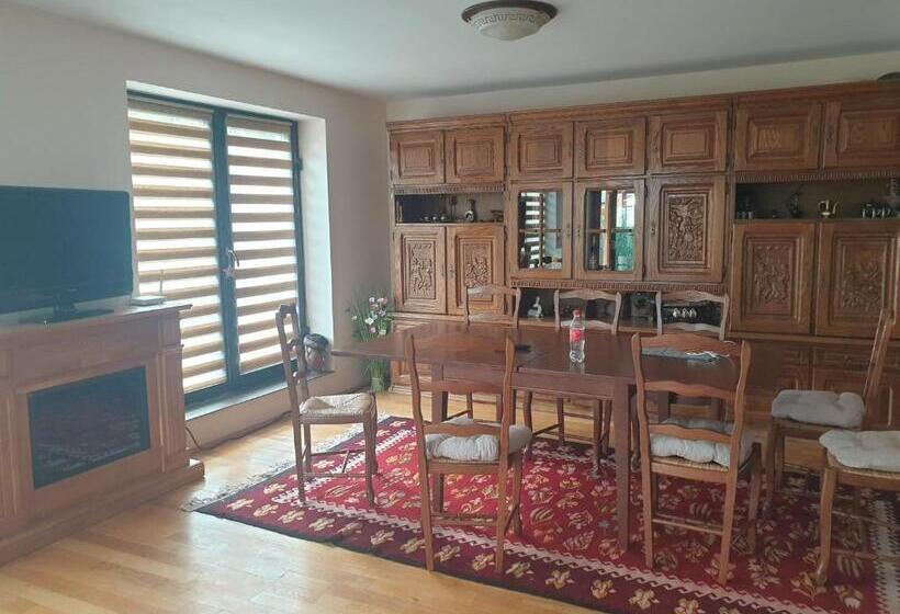 펜션 Casa Cu Terasa De Vis