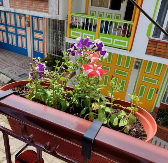 پانسیون Casa Helena