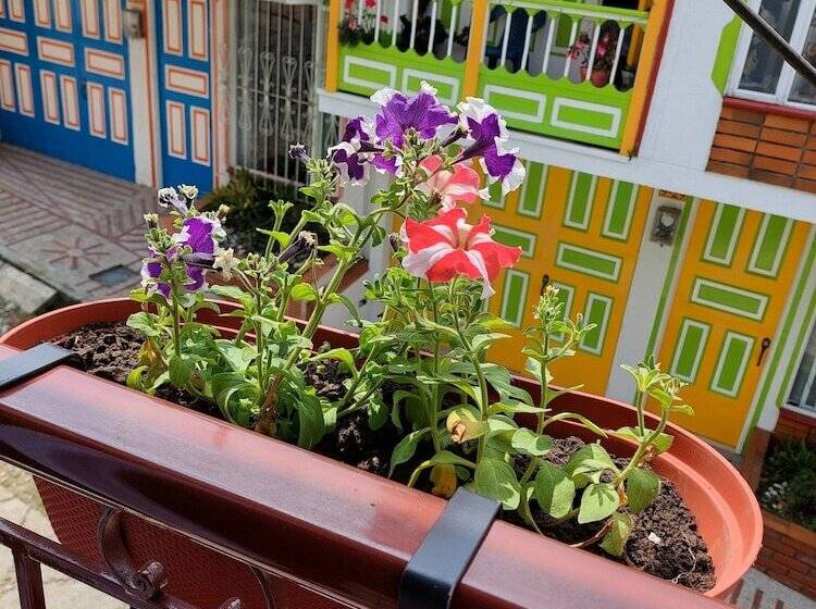 پانسیون Casa Helena