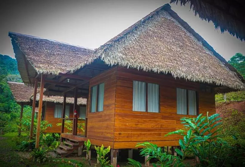 ペンション Kotsimba Lodge
