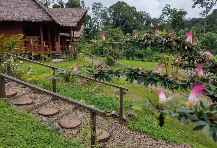 ペンション Kotsimba Lodge