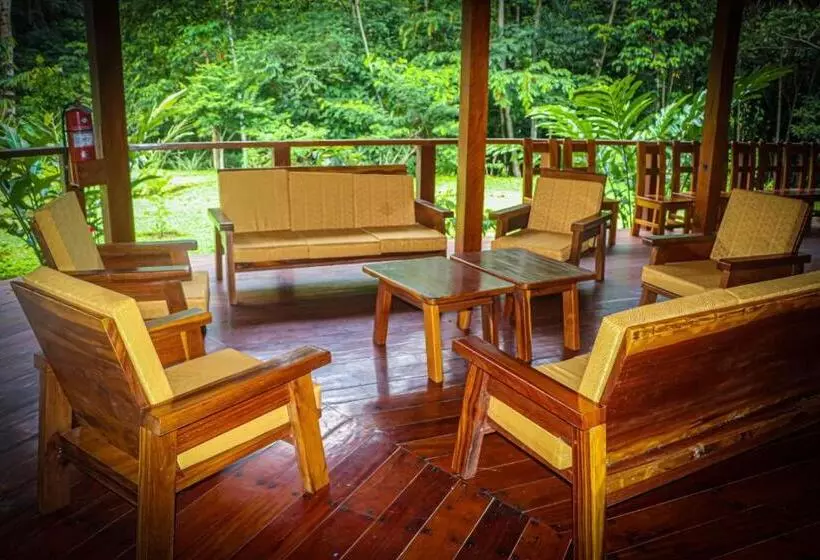 ペンション Kotsimba Lodge