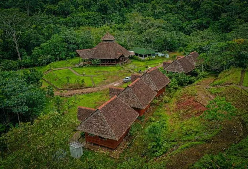 ペンション Kotsimba Lodge