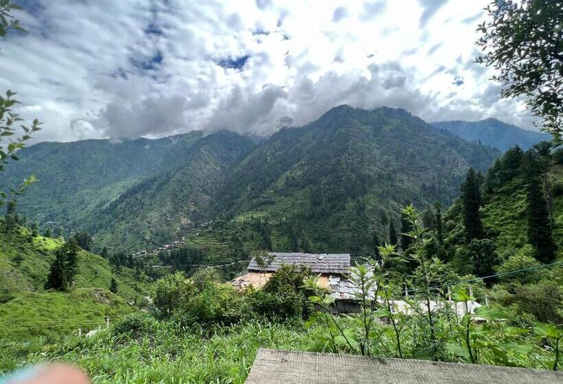 Pensão Shivadelic Cafe And Stay