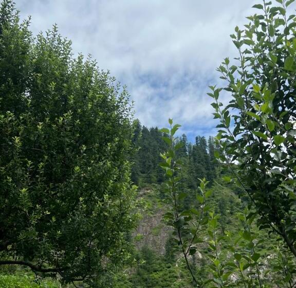 Pensão Shivadelic Cafe And Stay