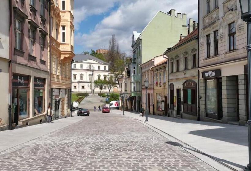 فندق Cieszyński Stare Miasto Suites