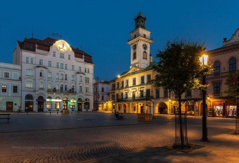 فندق Cieszyński Stare Miasto Suites