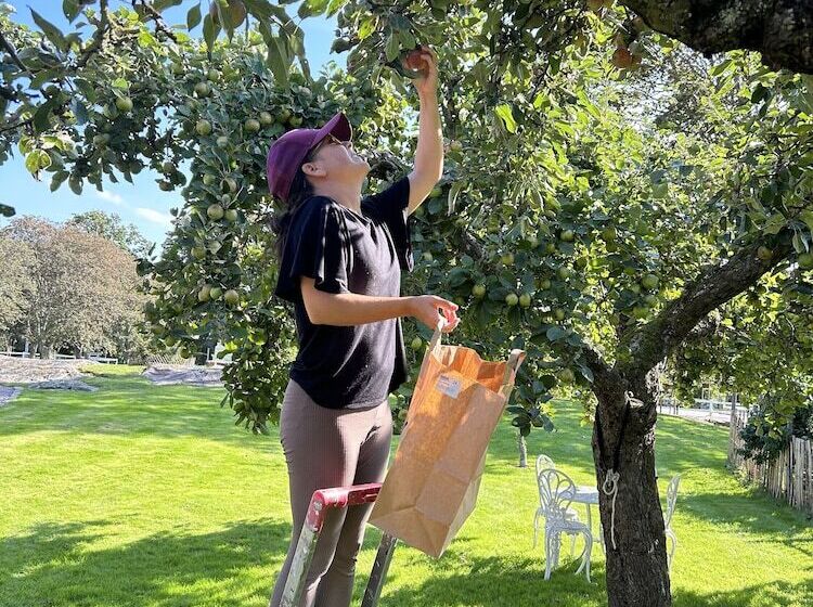 Halmstad Gårdshotell