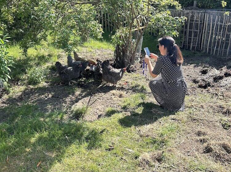 Halmstad Gårdshotell