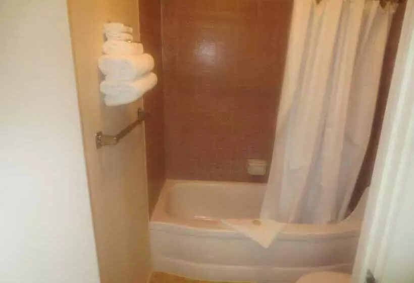 Hotelli Downtowner Inn