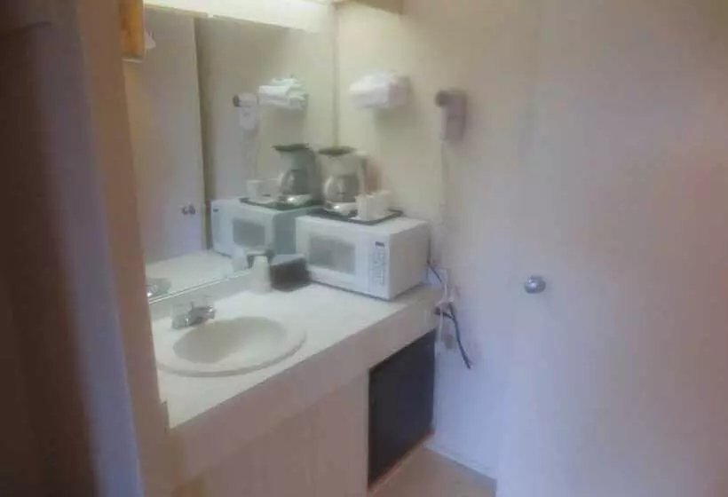 Hotelli Downtowner Inn